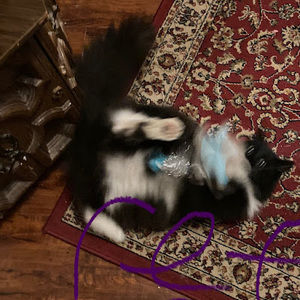 Meet your Posher, Jack